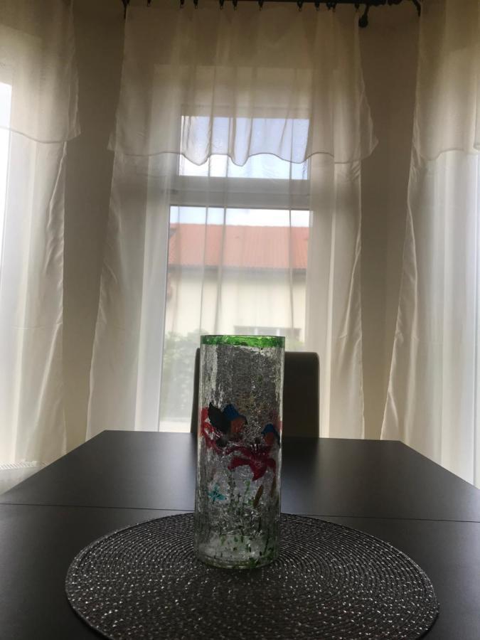 Vila Casa Vio Temešvár Exteriér fotografie