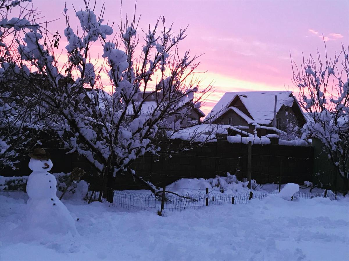 Vila Casa Vio Temešvár Exteriér fotografie
