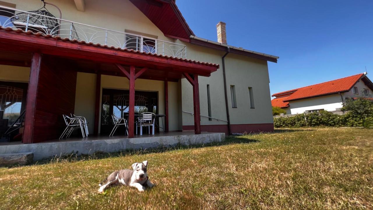 Vila Casa Vio Temešvár Exteriér fotografie