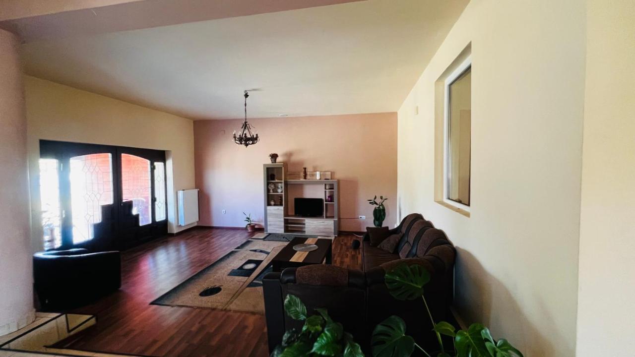 Vila Casa Vio Temešvár Exteriér fotografie