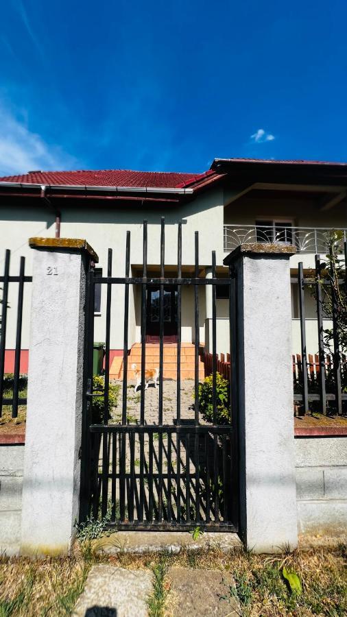Vila Casa Vio Temešvár Exteriér fotografie