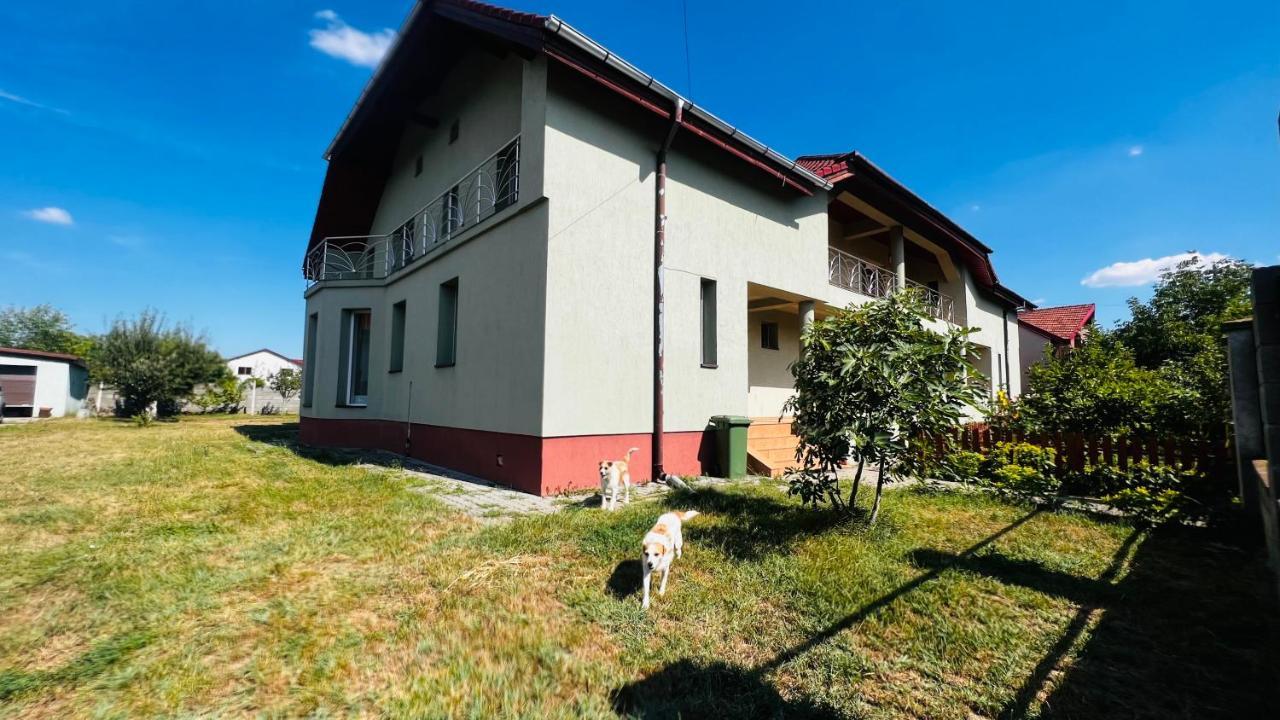 Vila Casa Vio Temešvár Exteriér fotografie