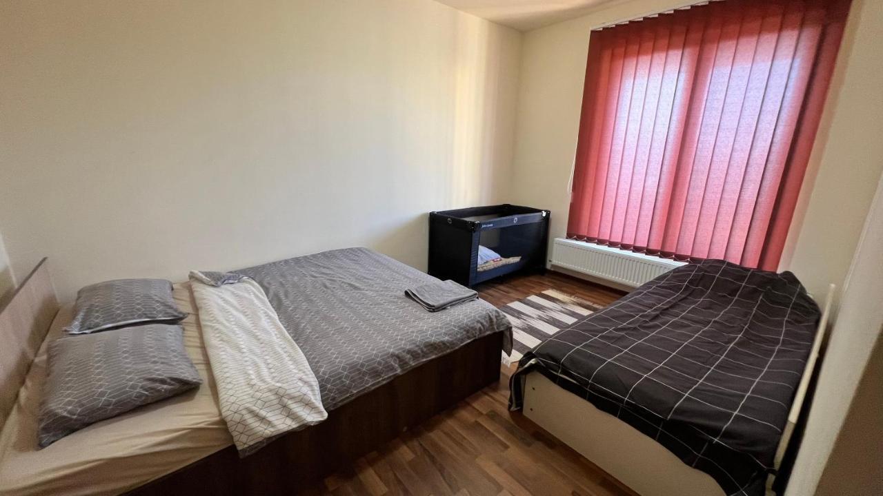 Vila Casa Vio Temešvár Exteriér fotografie