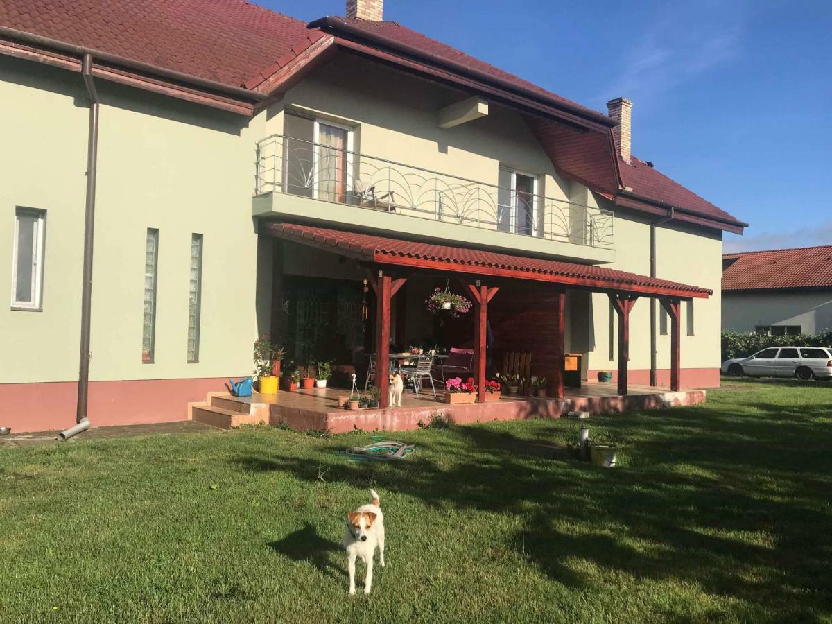 Vila Casa Vio Temešvár Exteriér fotografie