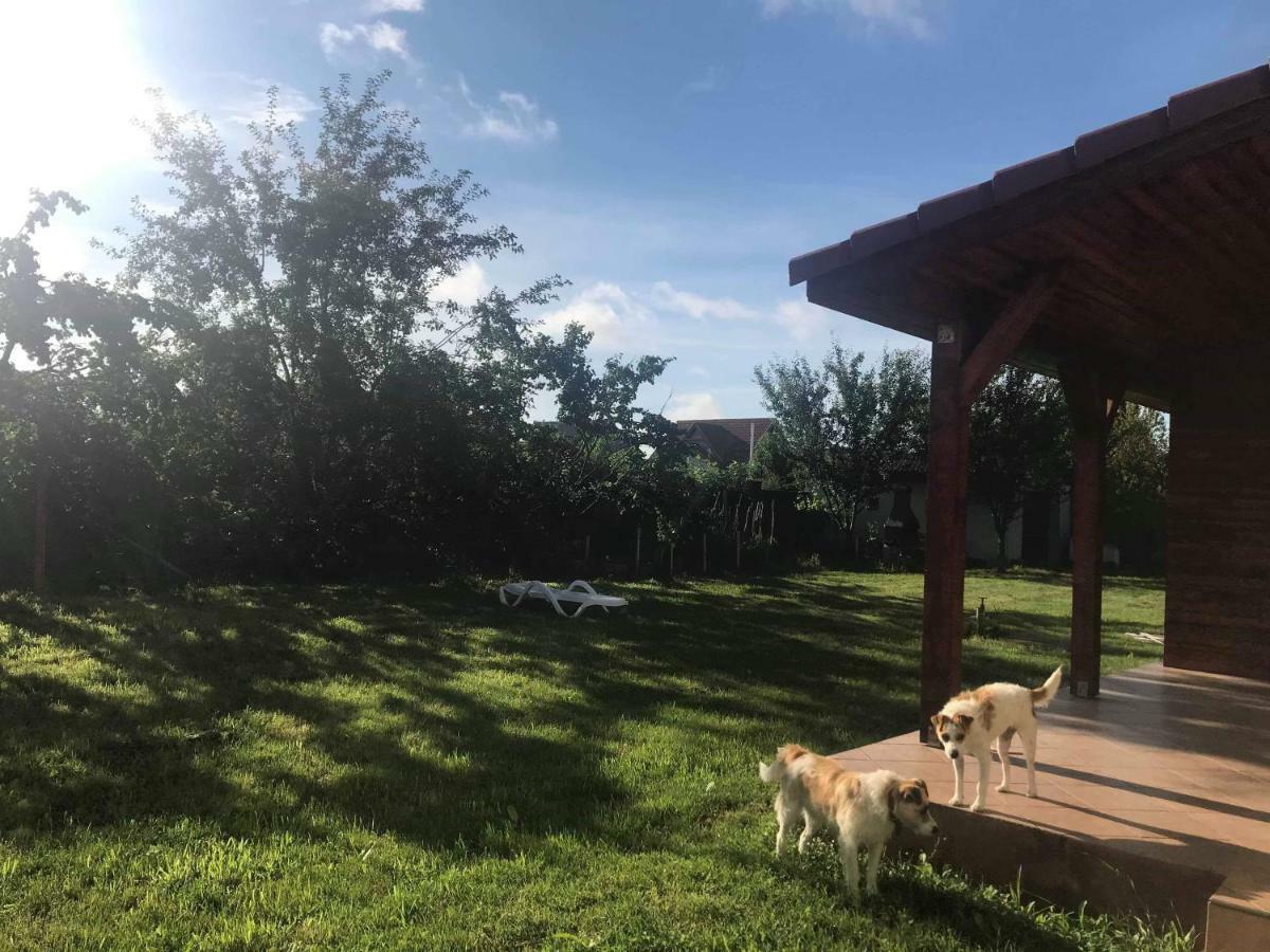 Vila Casa Vio Temešvár Exteriér fotografie